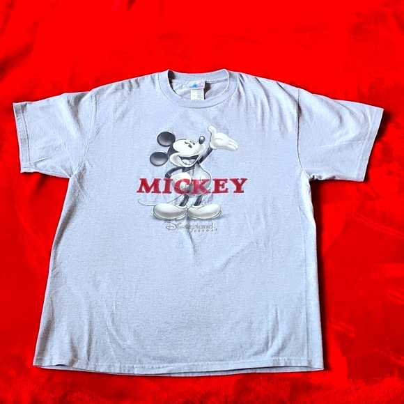 Disney Land Resort Mickey Mouse Shirt Gray Large - Picture 1 of 5